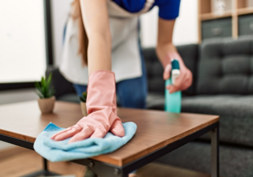 Daily Cleaning Service Image